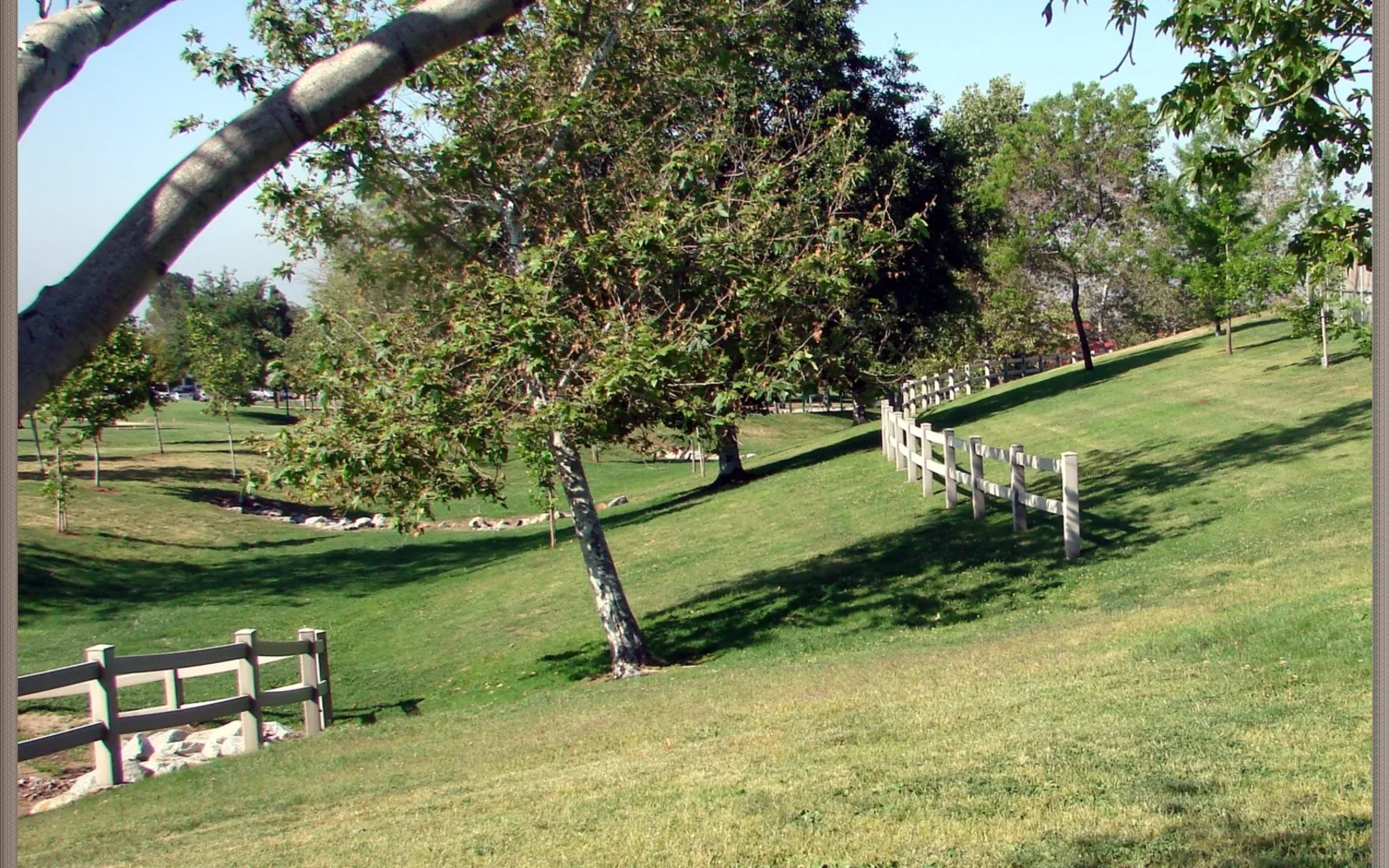 Yucaipa Community Park with white fencing and trees, showing the park landscape that serves the foothill community