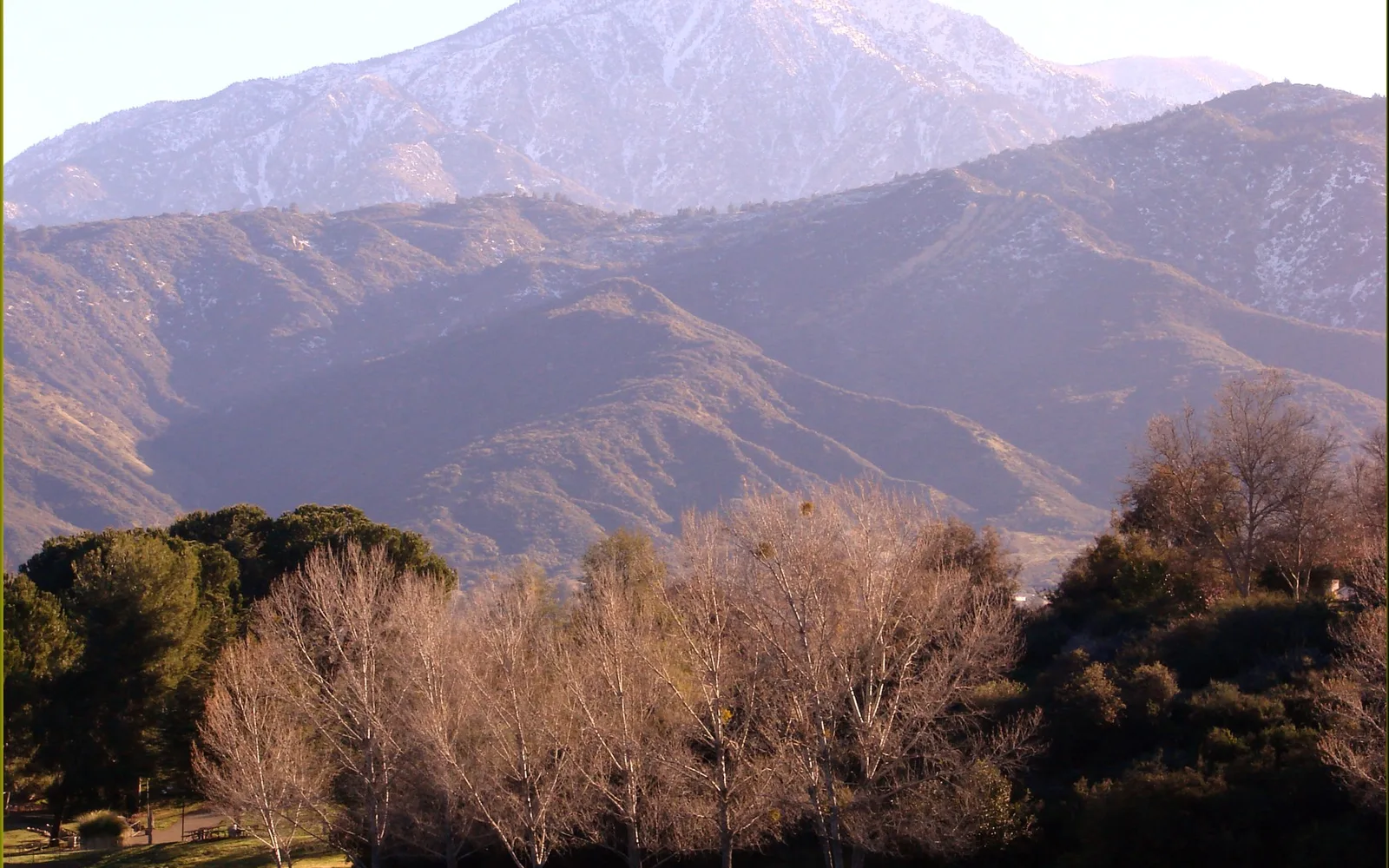 Mount San Bernardino rising above mist-covered trees at sunrise in Yucaipa Regional Park, showing the mountain landscape